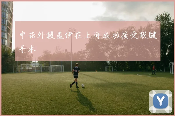 申花外援盖伊在上海成功接受跟腱手术