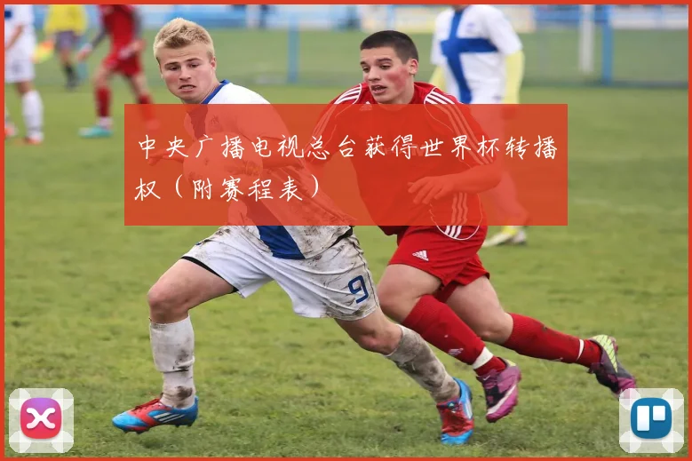 中央广播电视总台获得世界杯转播权（附赛程表）